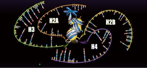 聚焦蛋白質(zhì)組學(xué)技術(shù)開(kāi)發(fā)與應(yīng)用，景杰生物完成5.3億元B輪融資以加速技術(shù)推廣