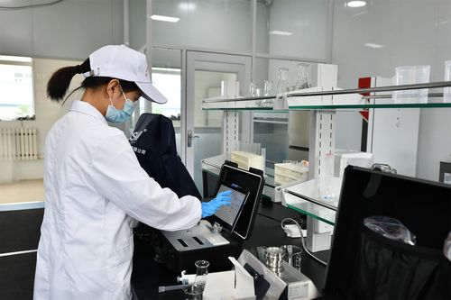 朵朵黑木耳串起創新產業鏈 防疫健康包助農惠民兩相宜